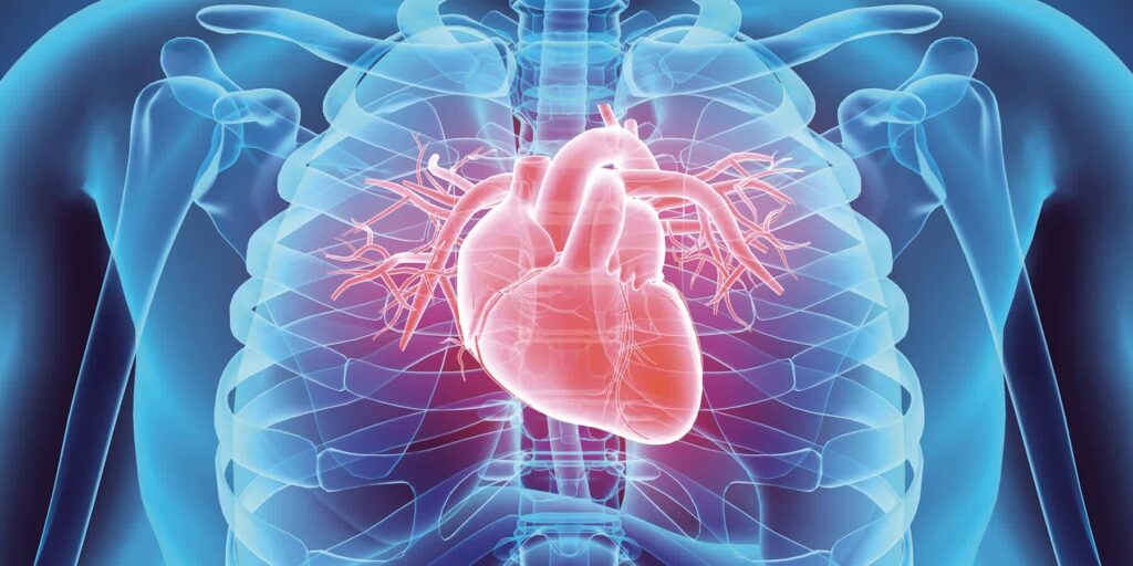 Heart Disease Prevention