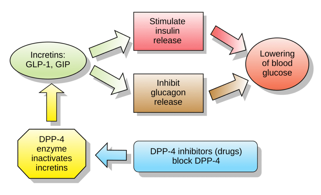 Diabetes Diet