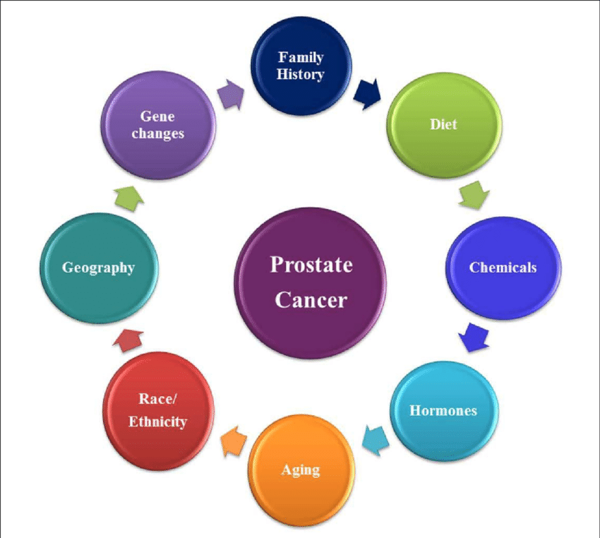 Prostate Health Support