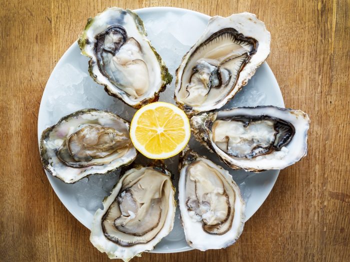 oysters
