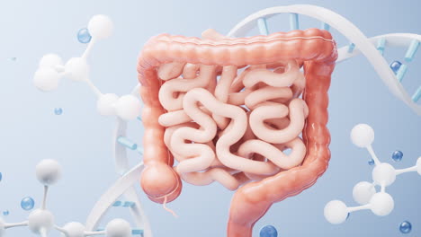 Gut Health