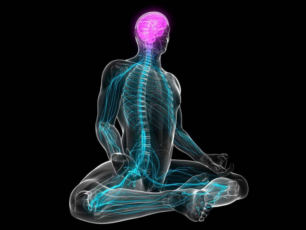 Metacognitive Therapy (MCT)