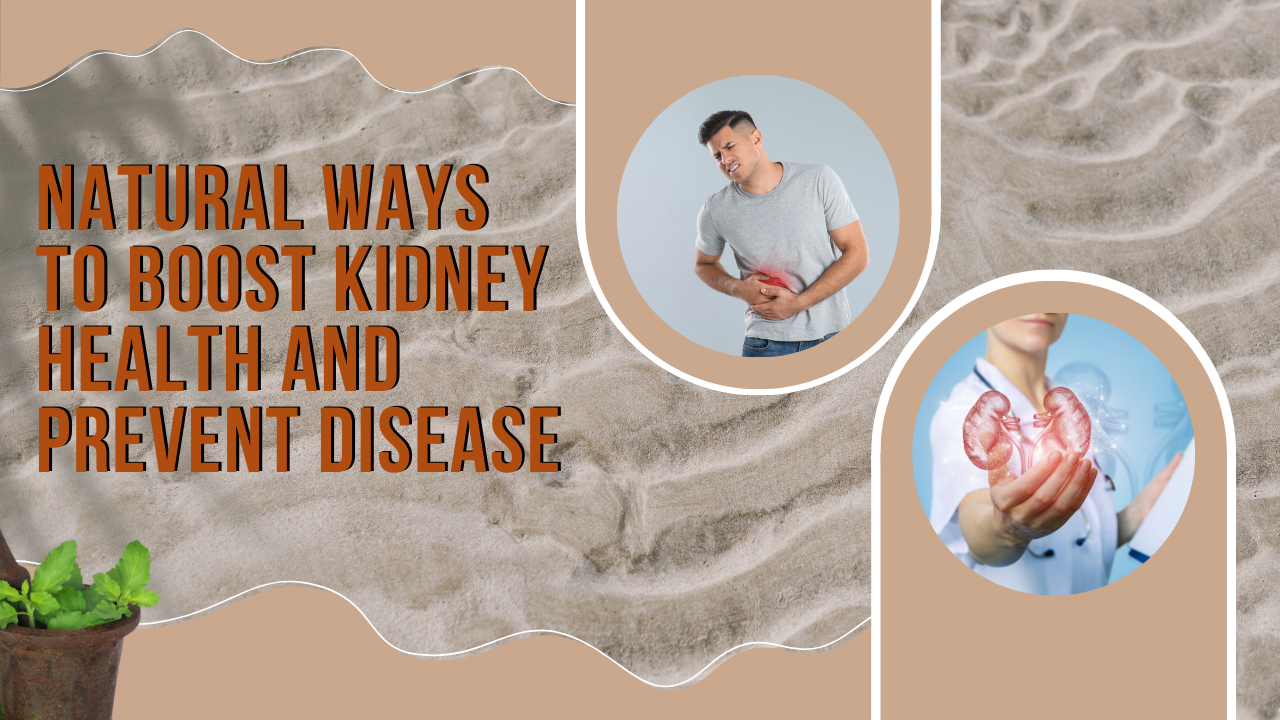 Natural Ways to Boost Kidney Health and Prevent Disease