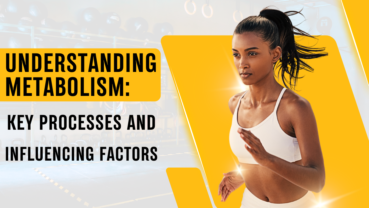 Understanding Metabolism