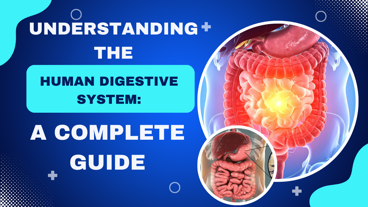 Understanding the