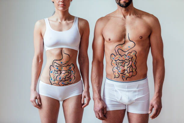 fermented foods for gut health