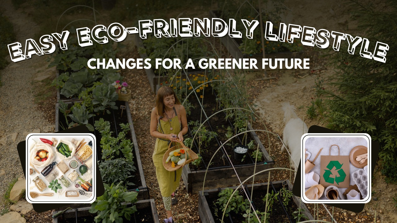 Easy Eco-Friendly Lifestyle Changes for a Greener Future post thumbnail image