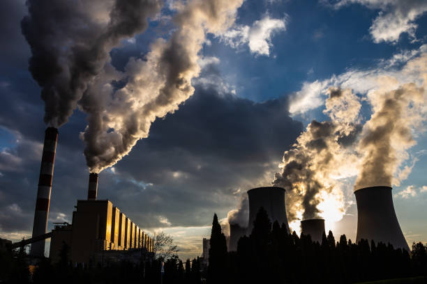 environmental pollutants and bioavailability
