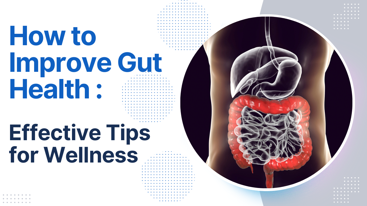 How to Improve Gut Health