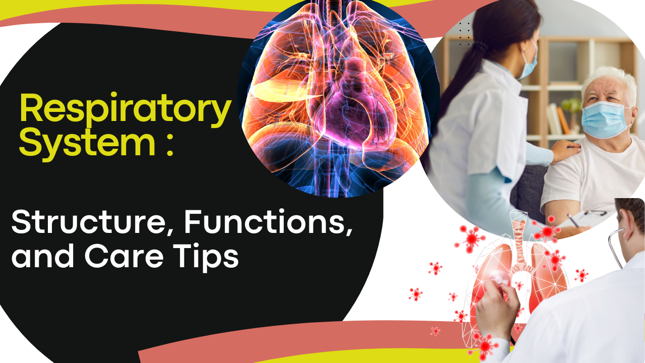 Respiratory System