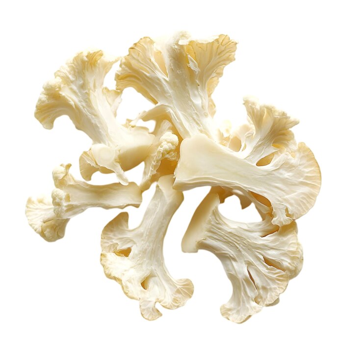 Maitake Mushroom for kidney health