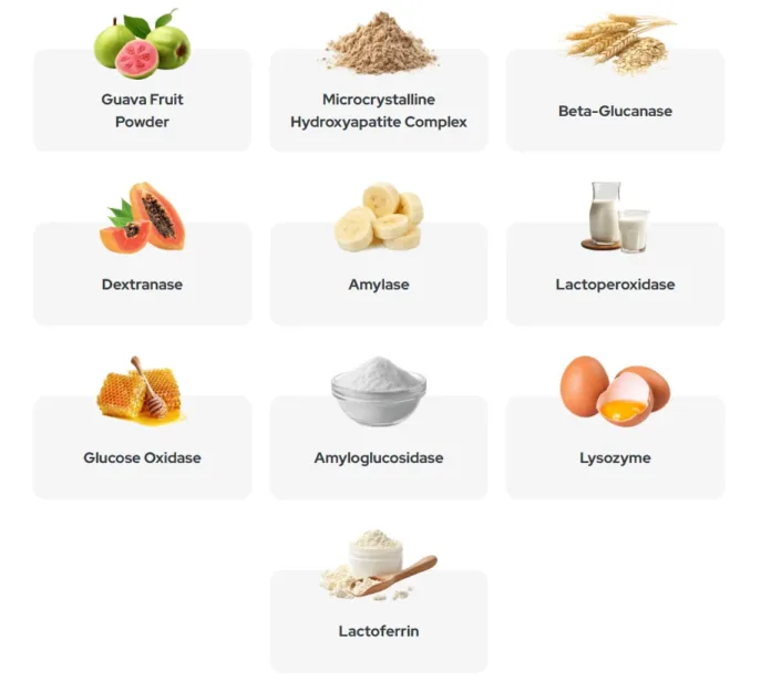 Synadentix Ingredients