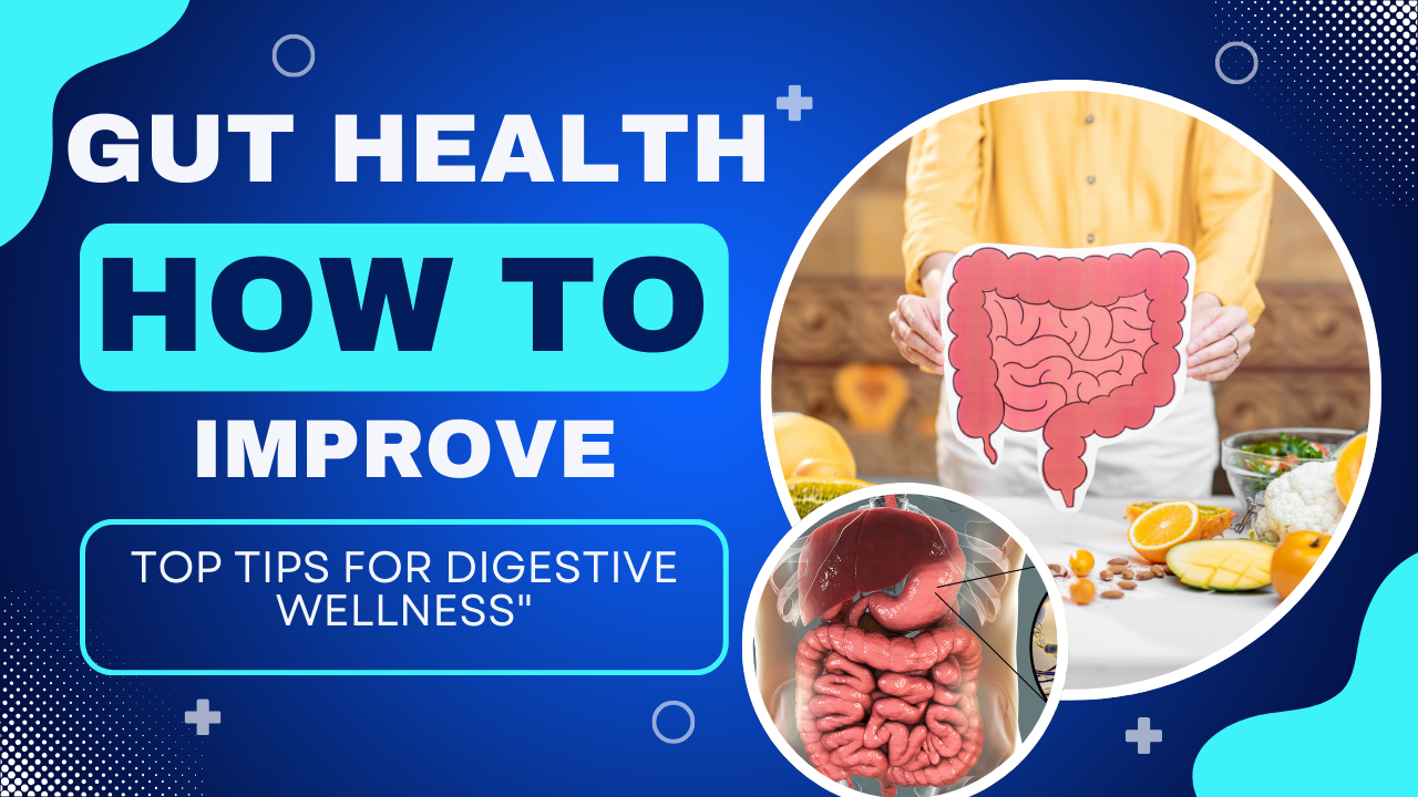 Gut Health How to Improve